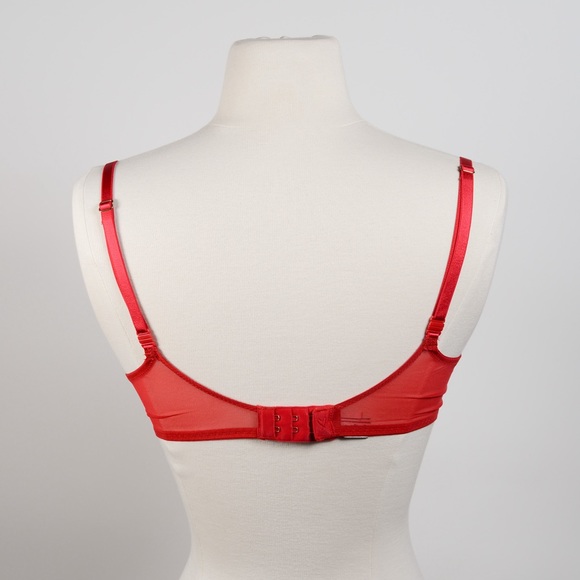 Victoria’s Secret Red Lace Bra 34C and House of Harlow Gold Hoops - Picture 6 of 10